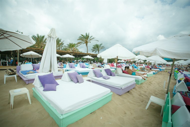 Edde Sands on Sunday